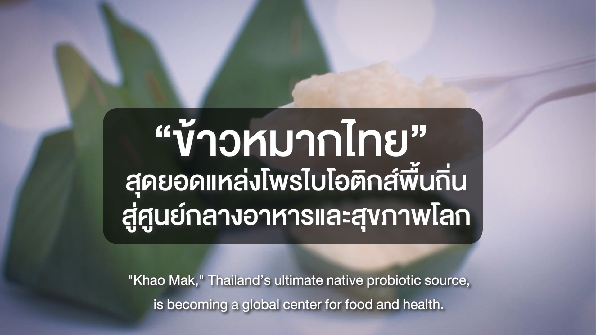 “ข้าวหมากไทย” สุดยอดแหล่งโพรไบโอติกส์พื้นถิ่น สู่ศูนย์กลางอาหารและสุขภาพโลก