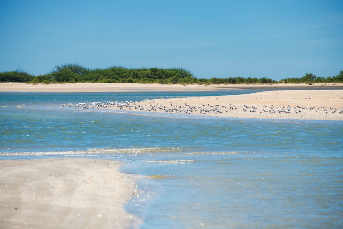 Western Region - Chang Hua Man Project // Laem Phak Bia Environmental Research and Development Project