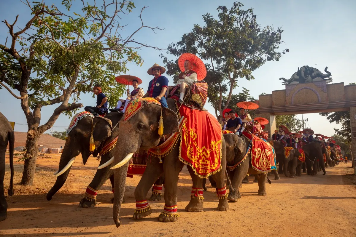 Marriage registration and marriage ceremony on an elephant’s back