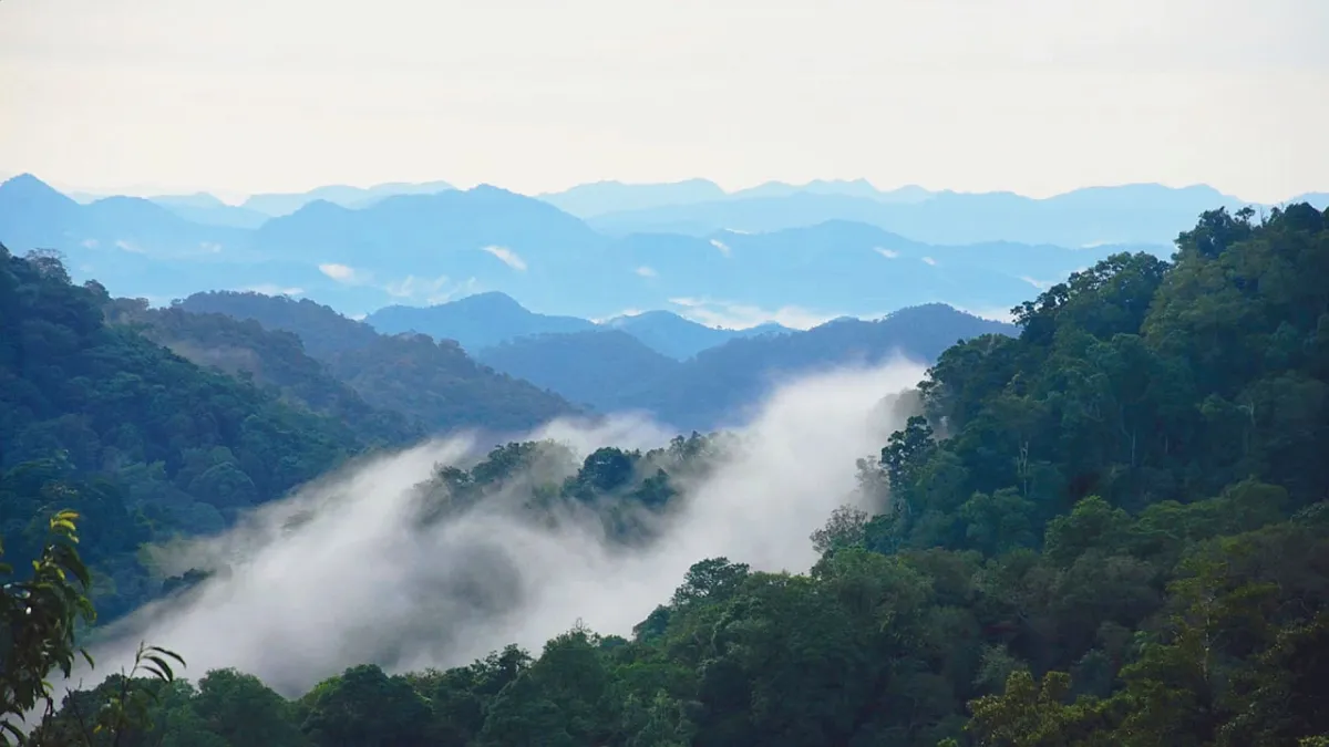 Traveling to Natural World Heritage Sites: Kaeng Krachan Forest Complex