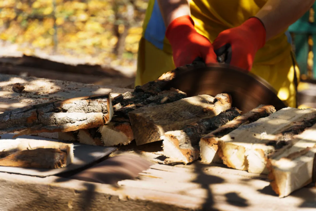 Documentation for Permit Application for Controlled Timber Processing in Bangkok Metropolitan Area