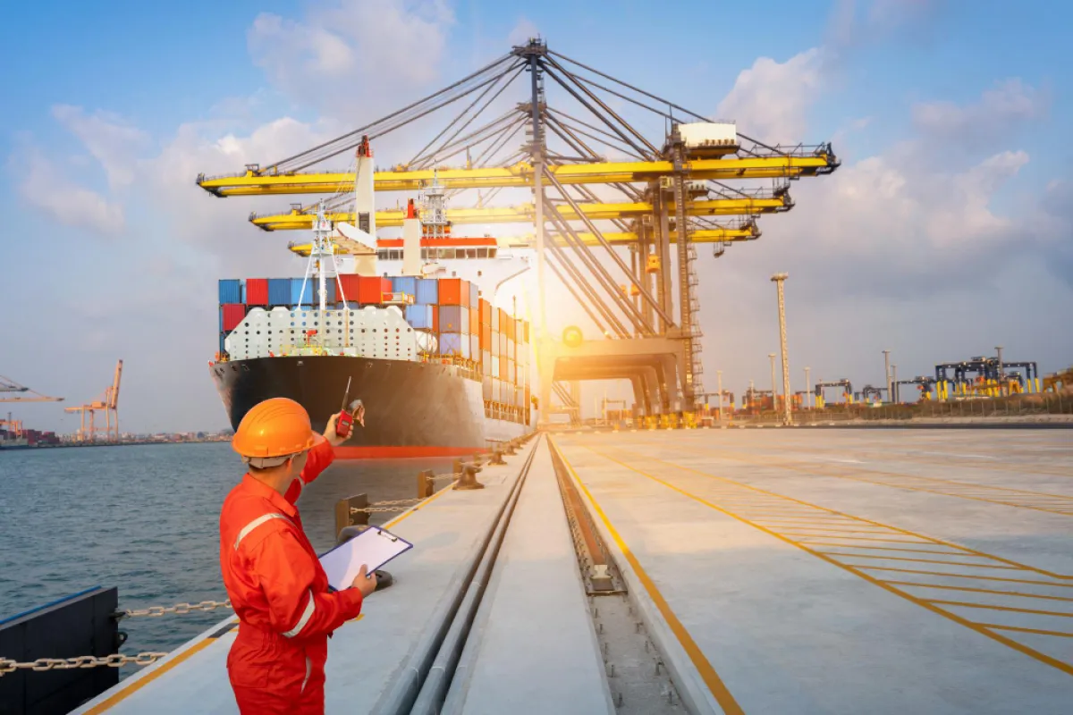 Guidelines for Preparing Multiple Ship Trip Import Manifests
