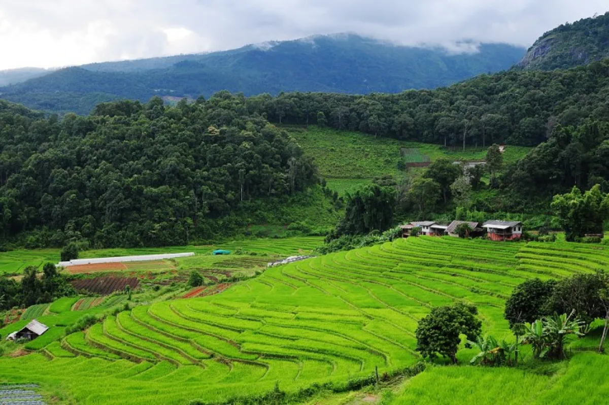 Seven spectacular destinations for the rainy season - Ban Phamon, Chiang Mai