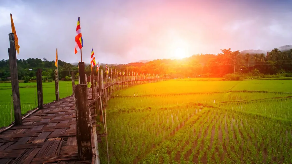 Seven spectacular destinations for the rainy season - Su Tong Pae Bridge, Mae Hong Son