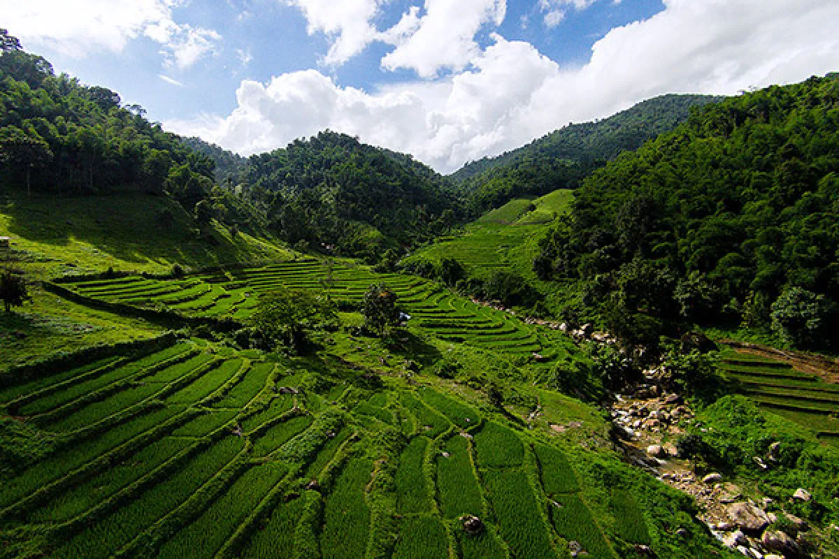 Seven spectacular destinations for the rainy season - Rice Terraces, Ban Li Khai, Chiang Rai