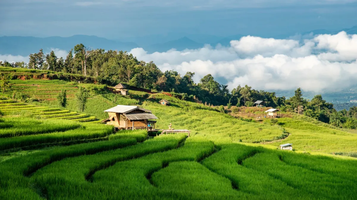 Seven spectacular destinations for the rainy season -Pa Bong Piang, Chiang Mai