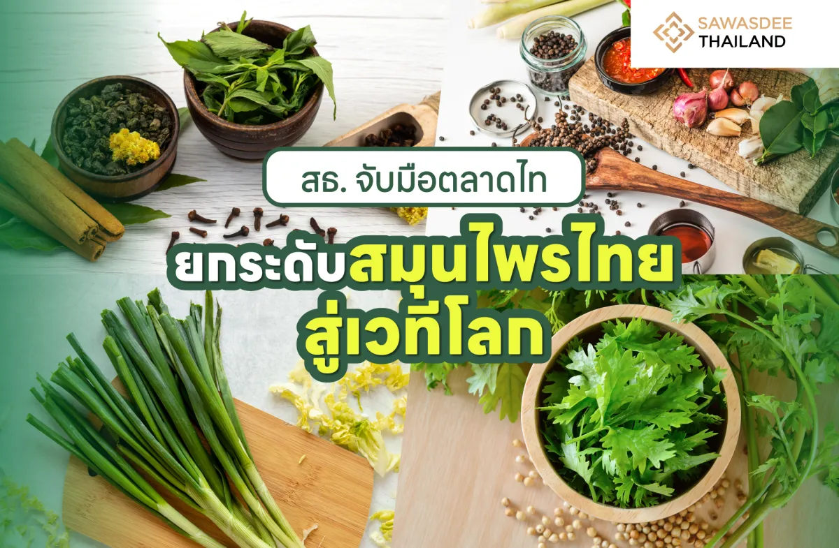 สธ. จับมือตลาดไทยกระดับสมุนไพรไทยสู่เวทีโลก