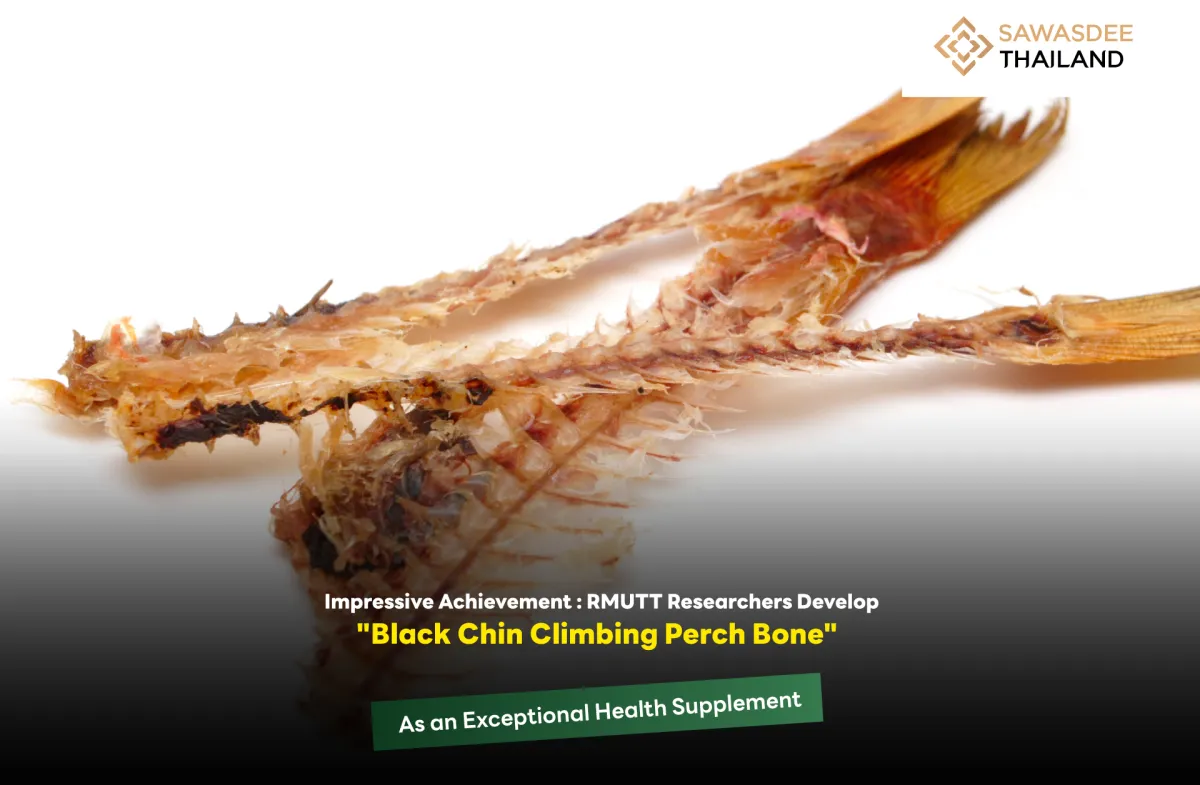Impressive Achievement : RMUTT Researchers Develop "Black Chin Climbing Perch Bone" as an Exceptional Health Supplement