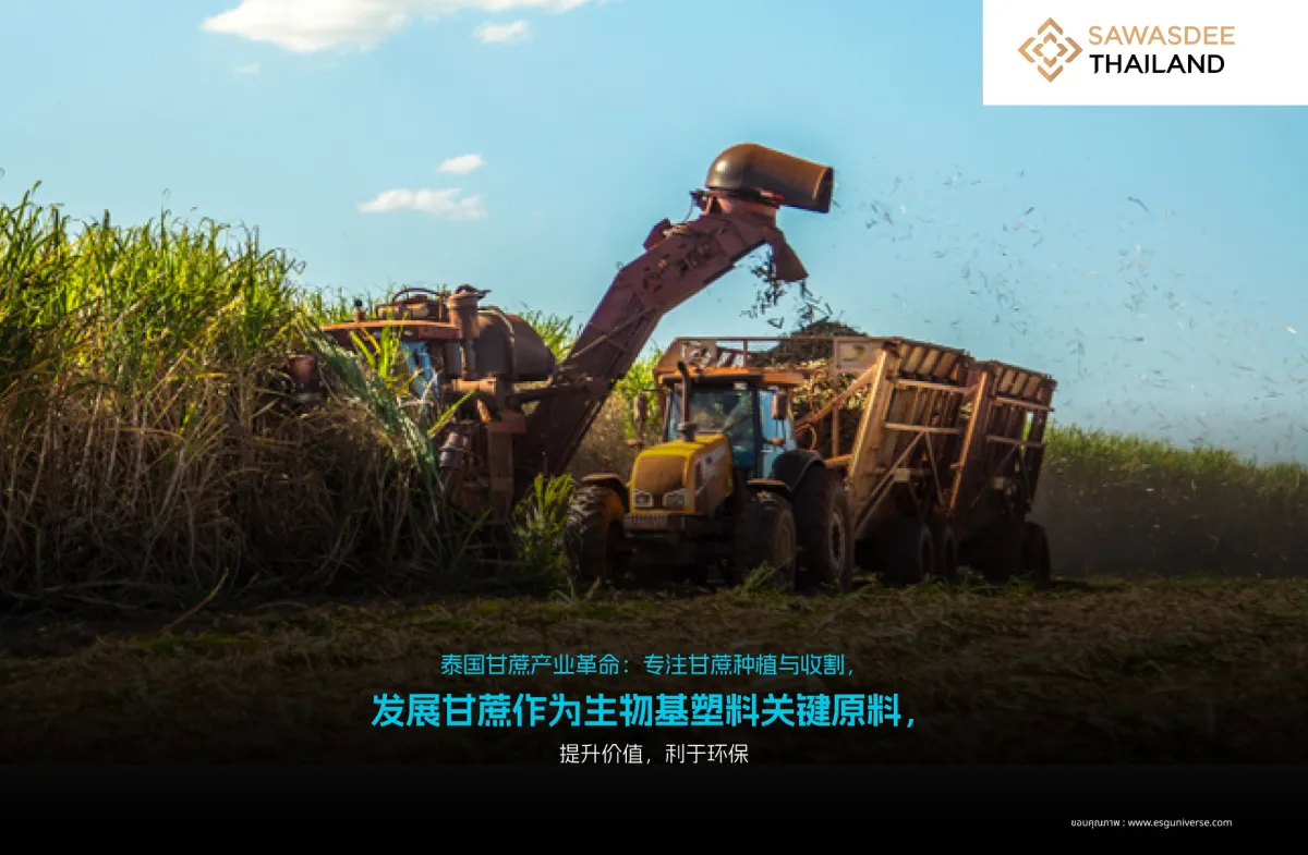 泰国甘蔗产业革命：专注甘蔗种植与收割，发展甘蔗作为生物基塑料关键原料，提升价值，利于环保