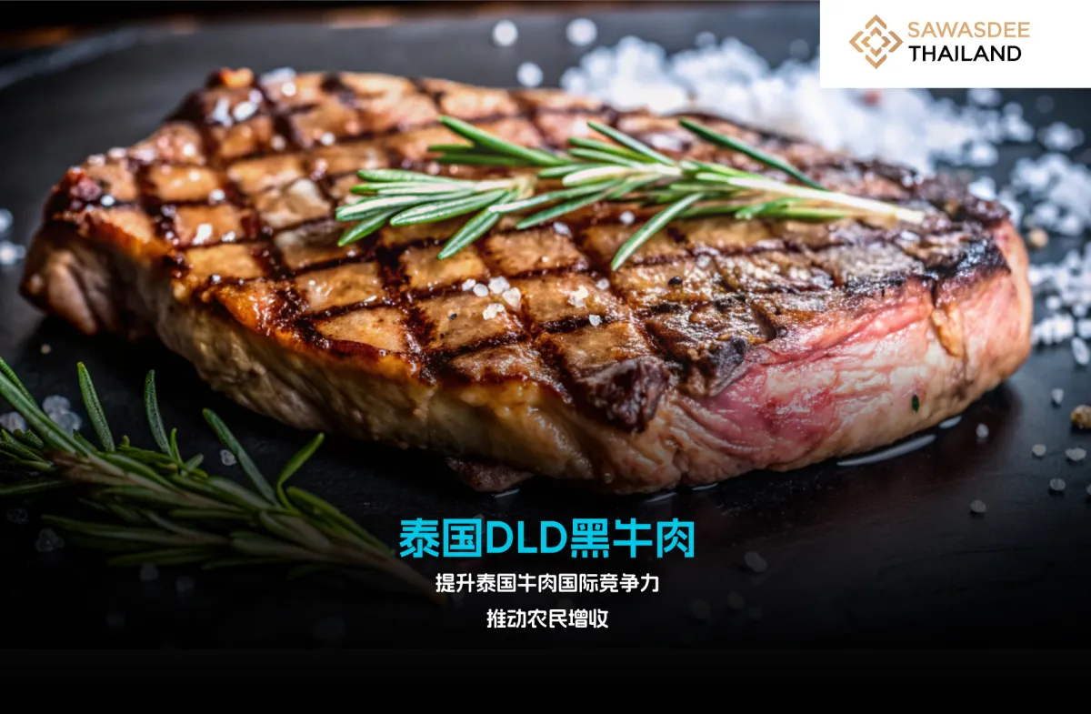 泰国DLD黑牛肉 提升泰国牛肉国际竞争力 推动农民增收