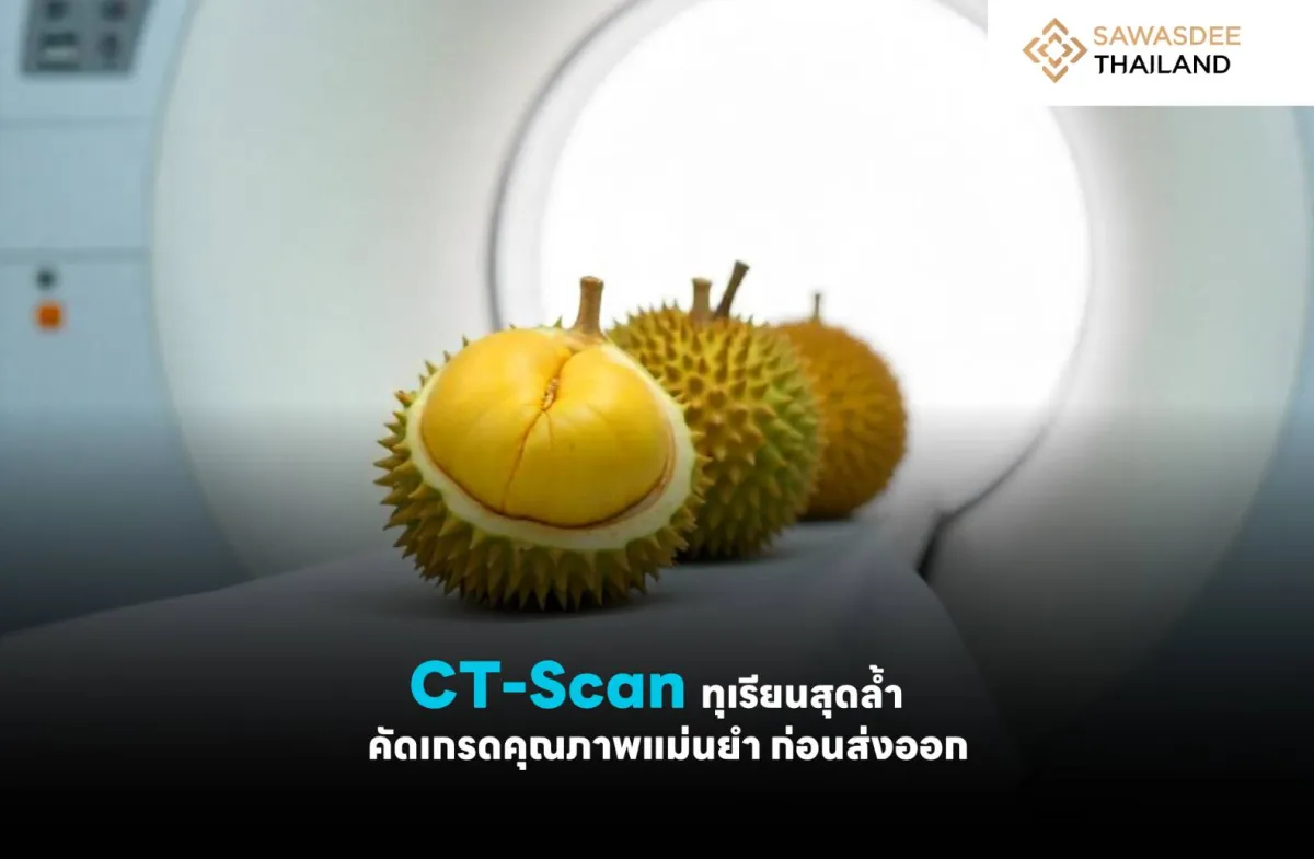 CT-Scan ทุเรียนสุดล้ำ คัดเกรดคุณภาพแม่นยำ ก่อนส่งออก