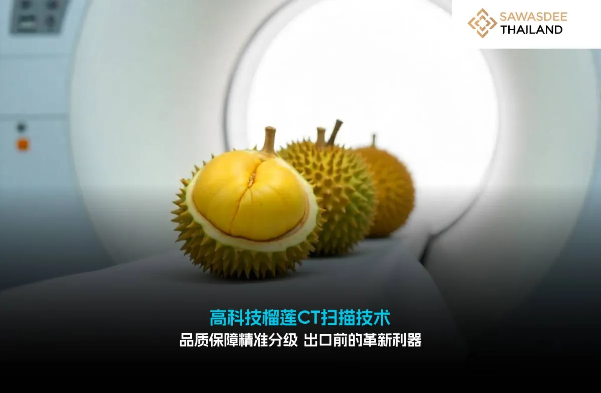 高科技榴莲CT扫描技术 品质保障精准分级 出口前的革新利器