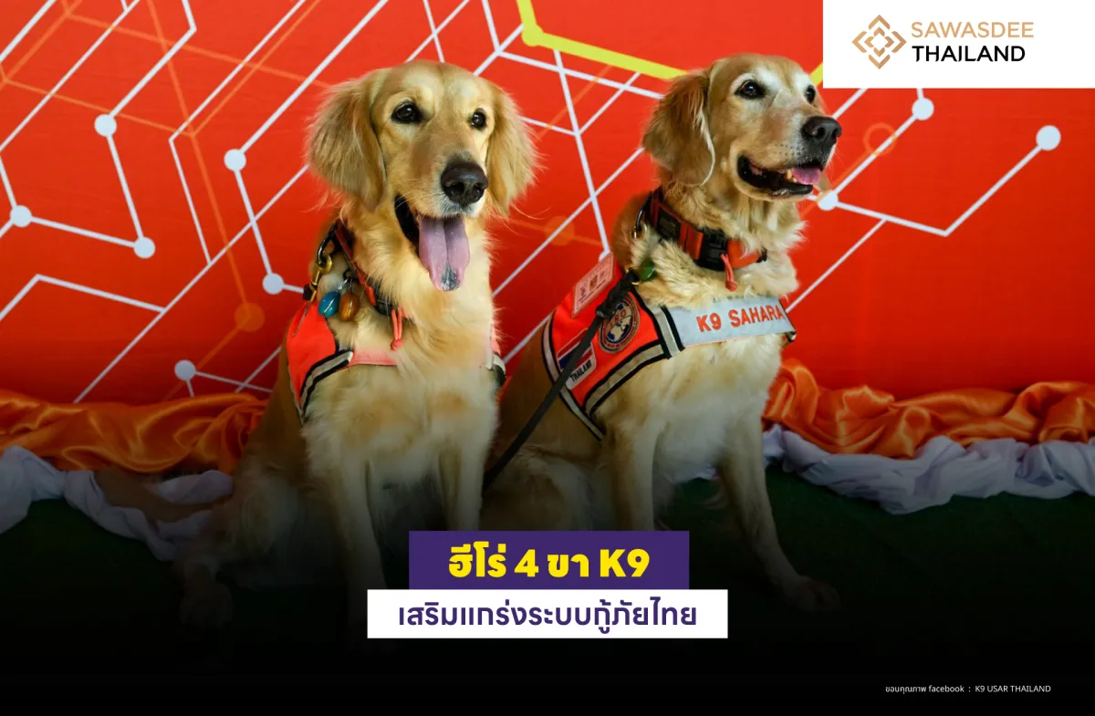 ฮีโร่ 4 ขา K9 เสริมแกร่งระบบกู้ภัยไทย