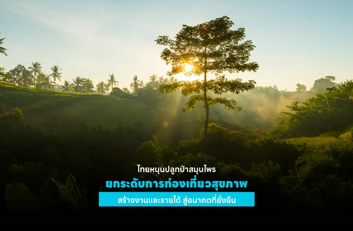 ไทยหนุนปลูกป่าสมุนไพร ยกระดับการท่องเที่ยวสุขภาพ สร้างงานและรายได้ สู่อนาคตที่ยั่งยืน
