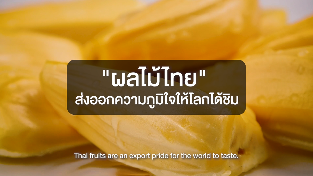 มาตรการผลักดันความสำเร็จ ส่งเสริมการส่งออกผลไม้ไทย 9.5 แสนตัน สู่ตลาดโลก