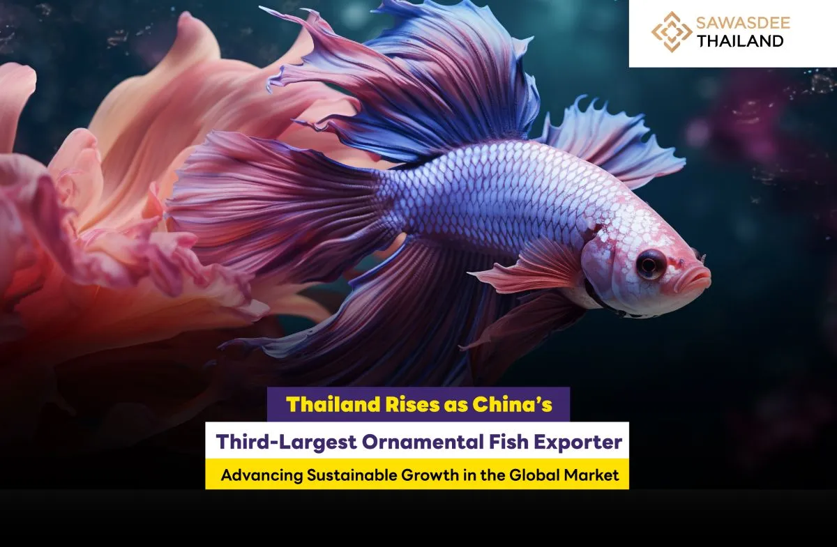 Thailand Rises as China’s  Third-Largest Ornamental Fish Exporter Advancing Sustainable Growth in the Global Market