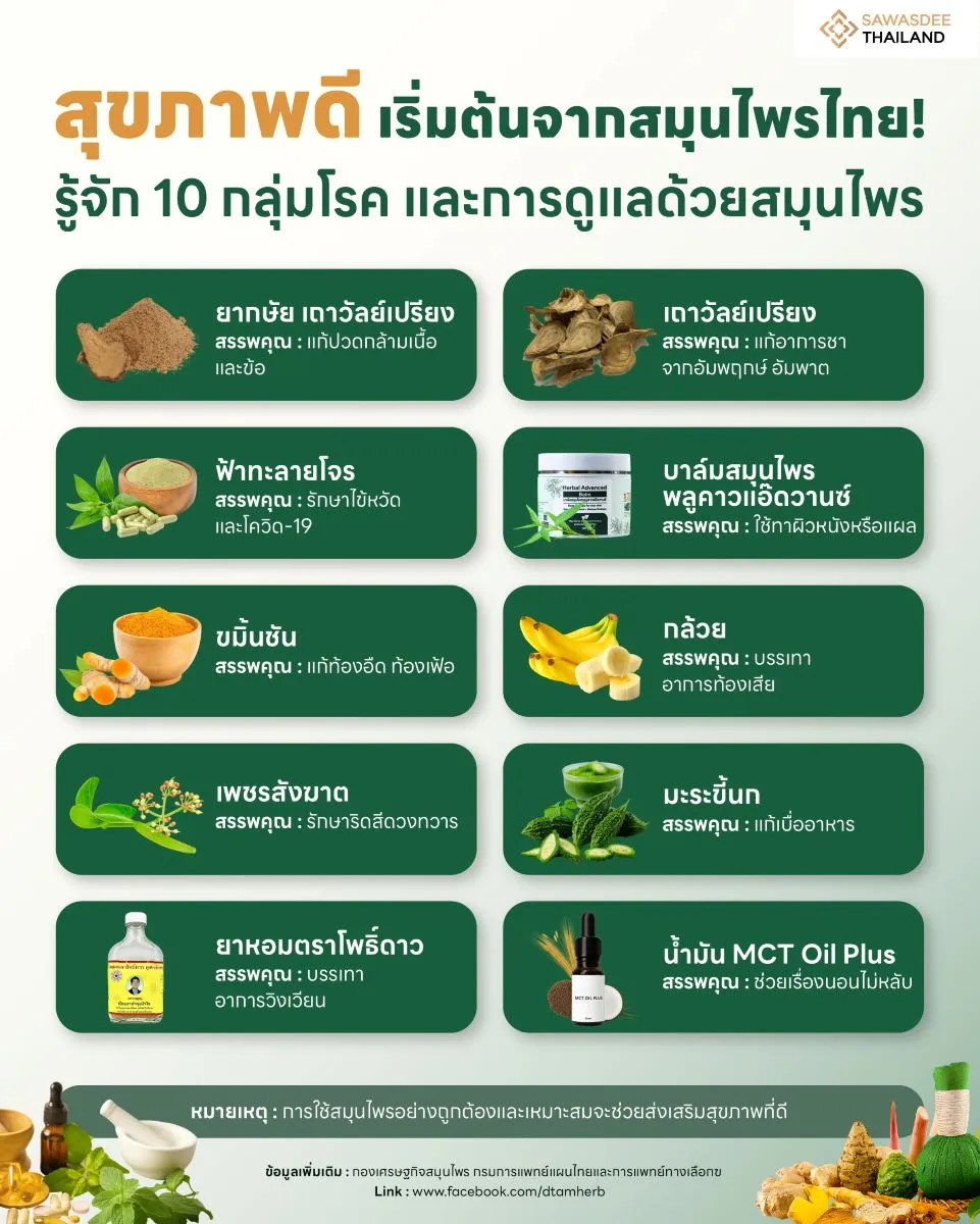 สุขภาพดี เริ่มต้นจากสมุนไพรไทย! รู้จัก 10 กลุ่มโรคและการดูแลด้วยสมุนไพร