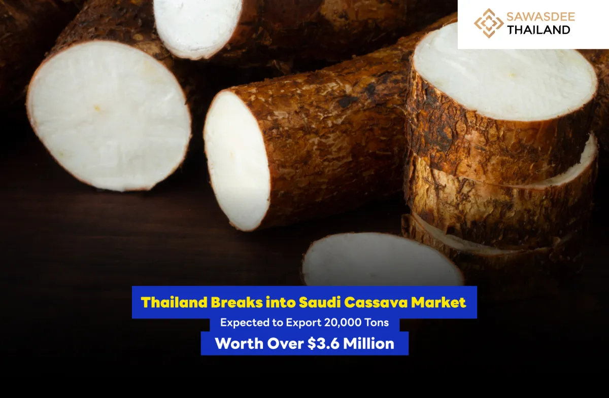 Thailand Breaks into Saudi Cassava Market  Expected to Export 20,000 Tons  Worth Over $3.6 Million