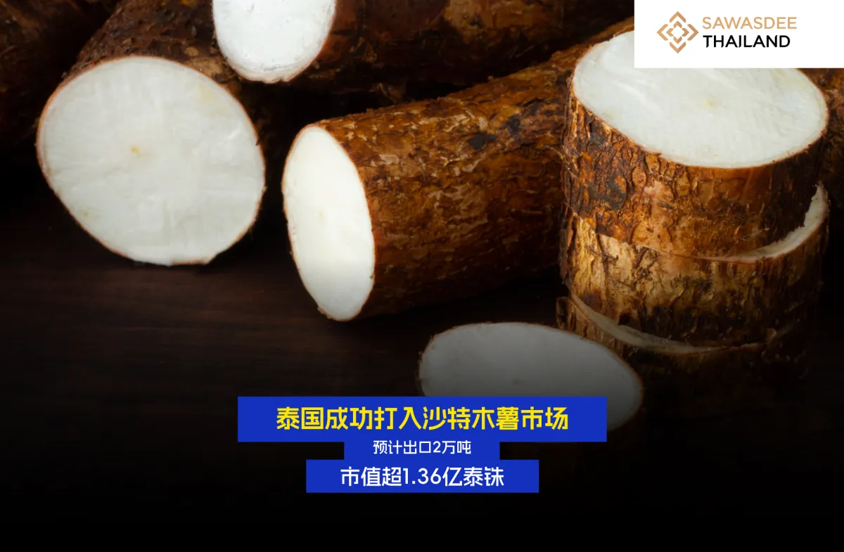 泰国成功打入沙特木薯市场 预计出口2万吨，市值超1.36亿泰铢