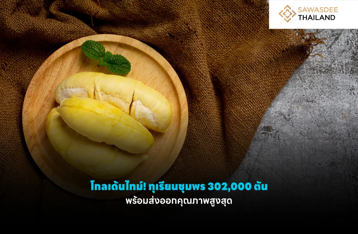 โกลเด้นไทม์! ทุเรียนชุมพร 302,000 ตัน พร้อมส่งออกคุณภาพสูงสุด