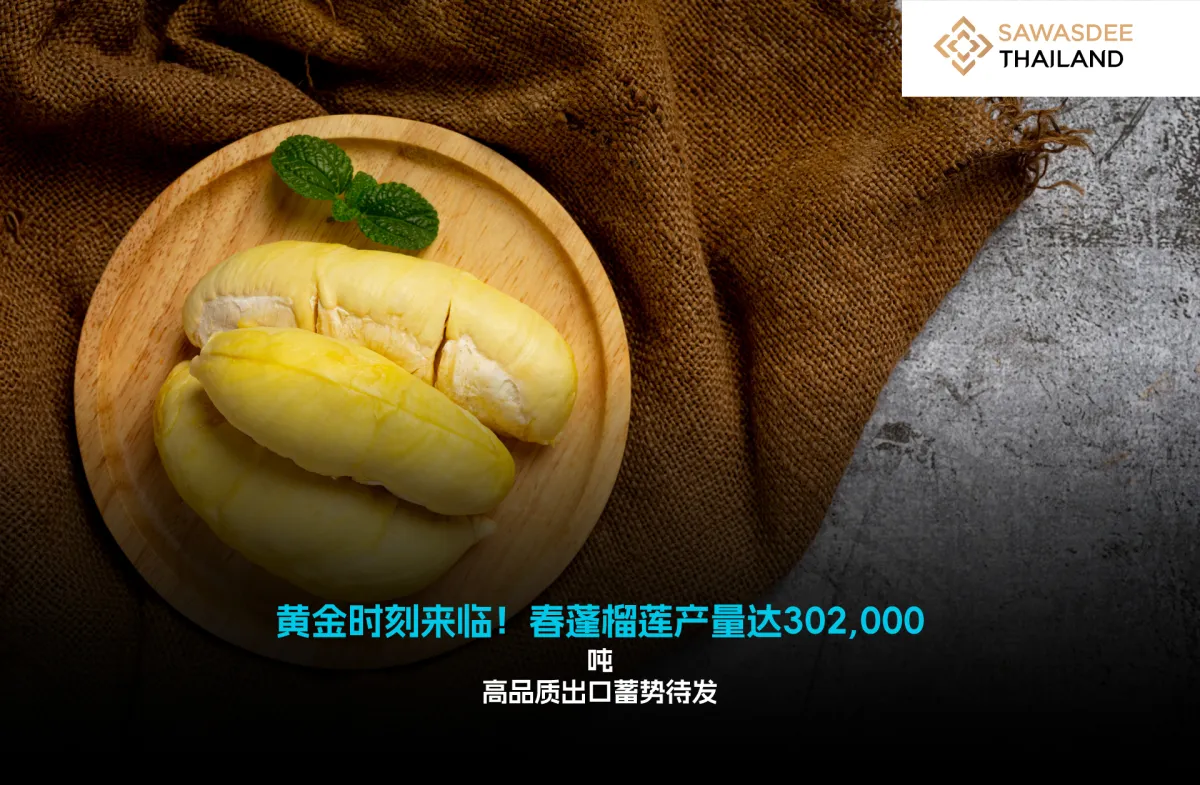 黄金时刻来临！春蓬榴莲产量达302,000吨 高品质出口蓄势待发