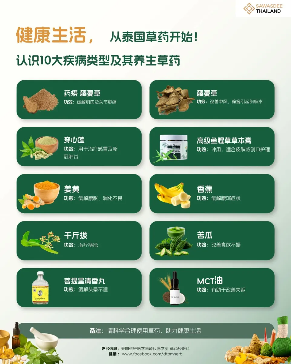 标题 : 健康生活，从泰国草药开始！ 认识10大疾病类型及其养生草药