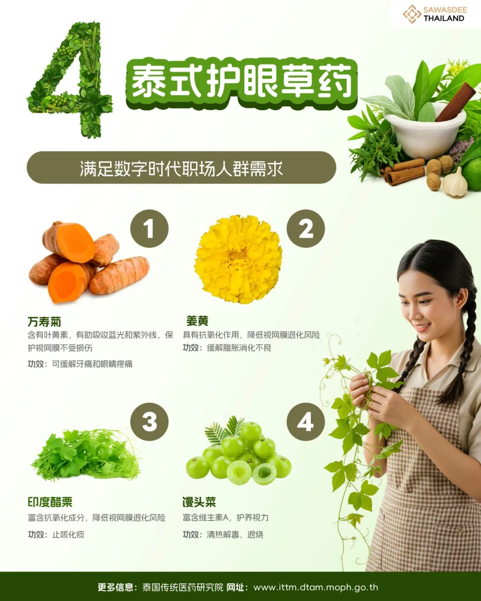 四种泰式护眼草药 满足数字时代职场人群需求