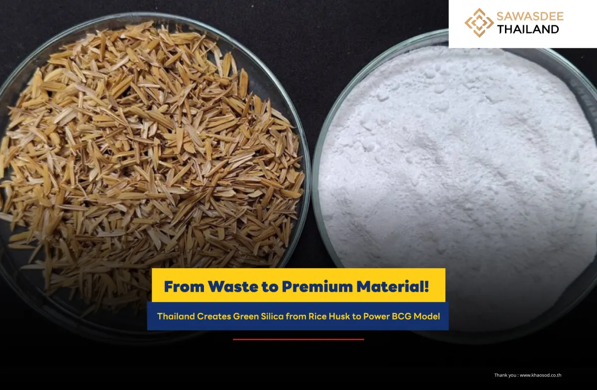 From Waste to Premium Material! Thailand Creates Green Silica from Rice Husk to Power BCG Model