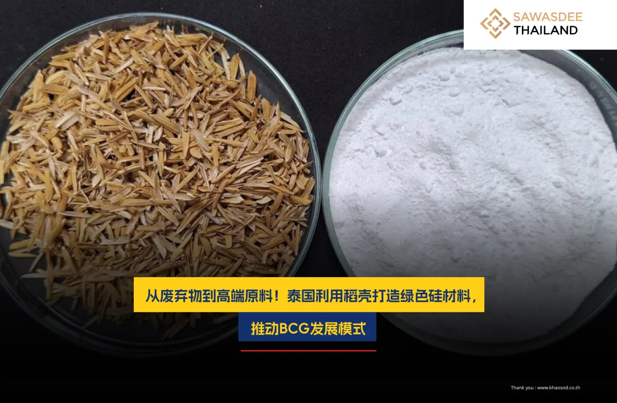 从废弃物到高端原料！泰国利用稻壳打造绿色硅材料，推动BCG发展模式