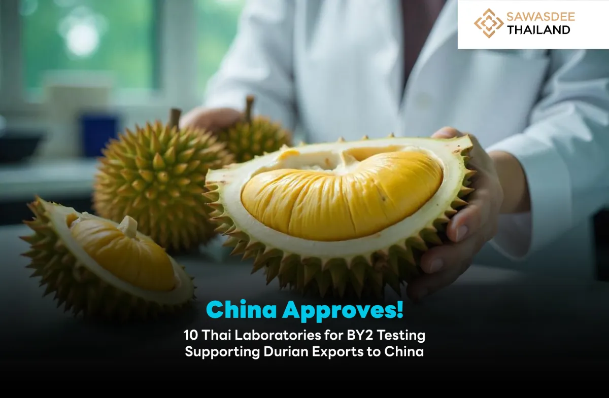 China Approves! 10 Thai Laboratories for BY2 Testing Supporting Durian Exports to China