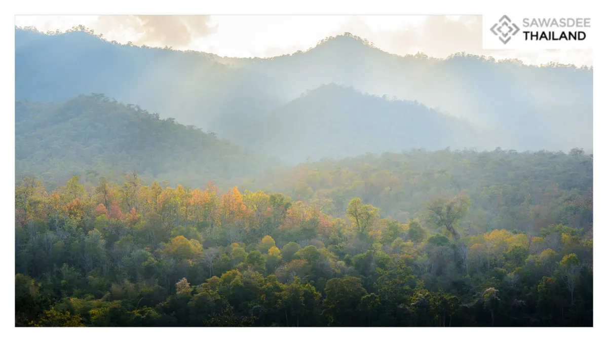 Thailand Launches “Zero Food W...