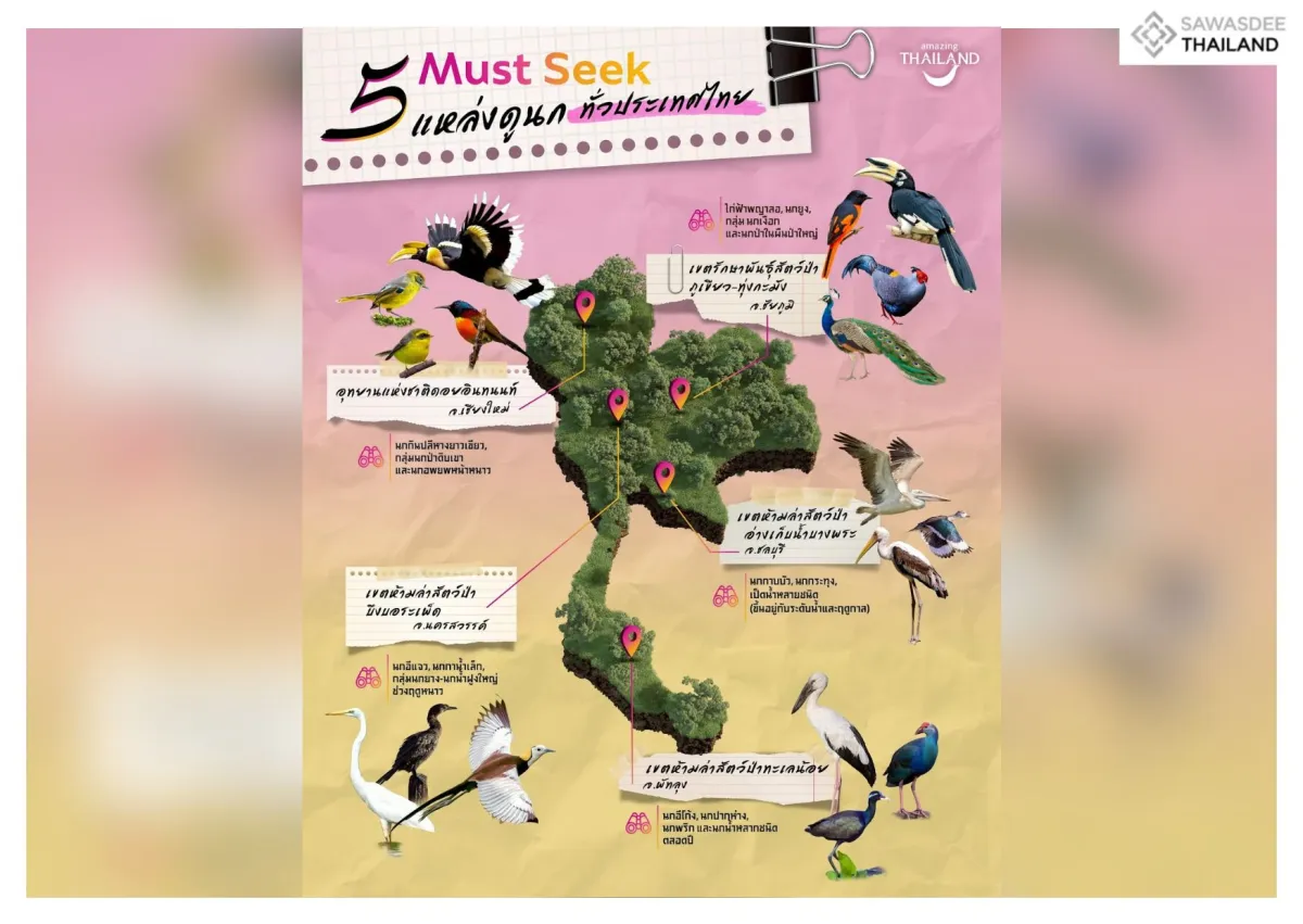 Must Seek: 5 แหล่งดูนกทั่วประเทศไทย