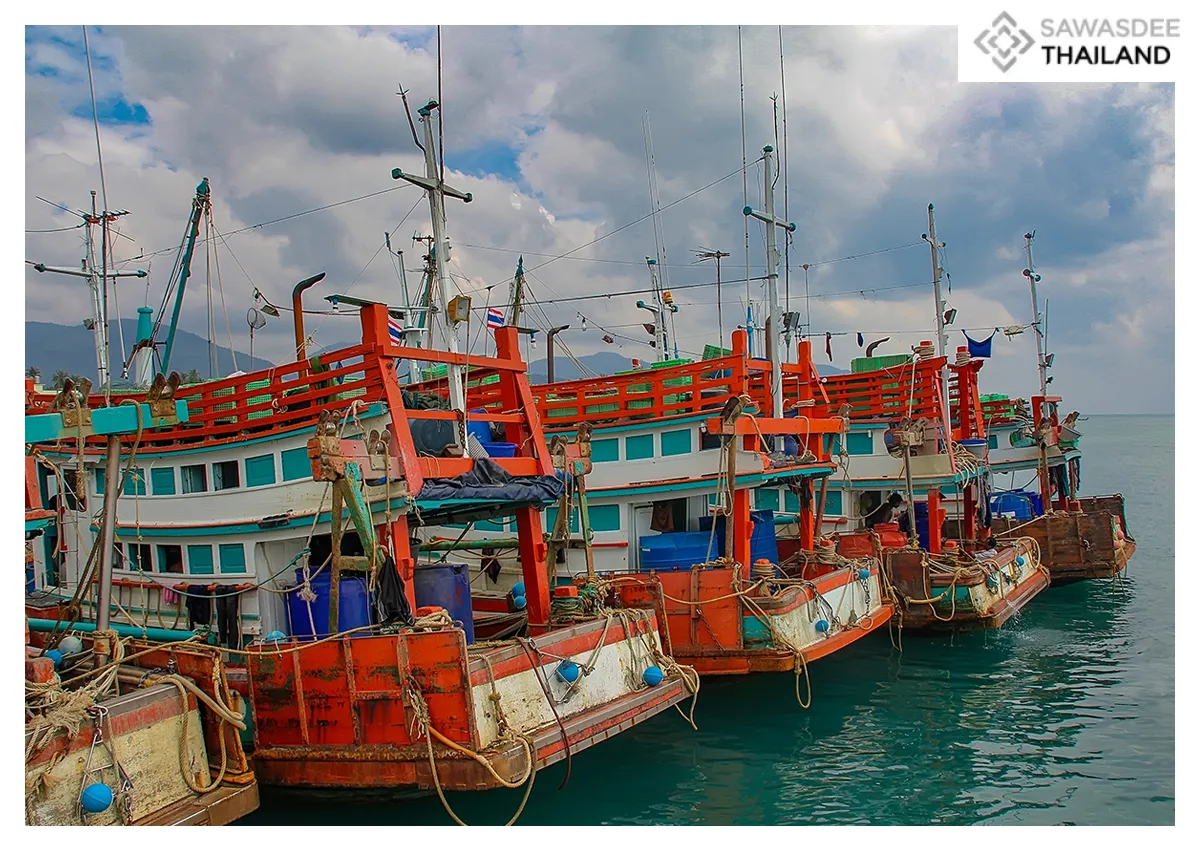 Fisheries issues Seabook renew...