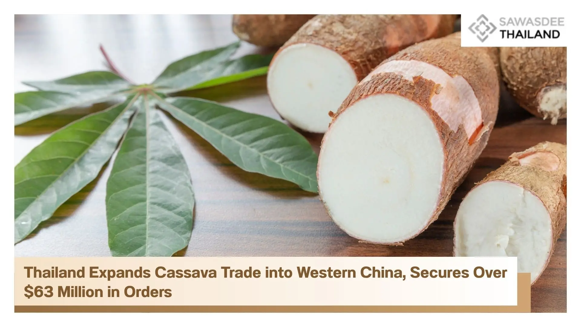 Thailand Expands Cassava Trade...