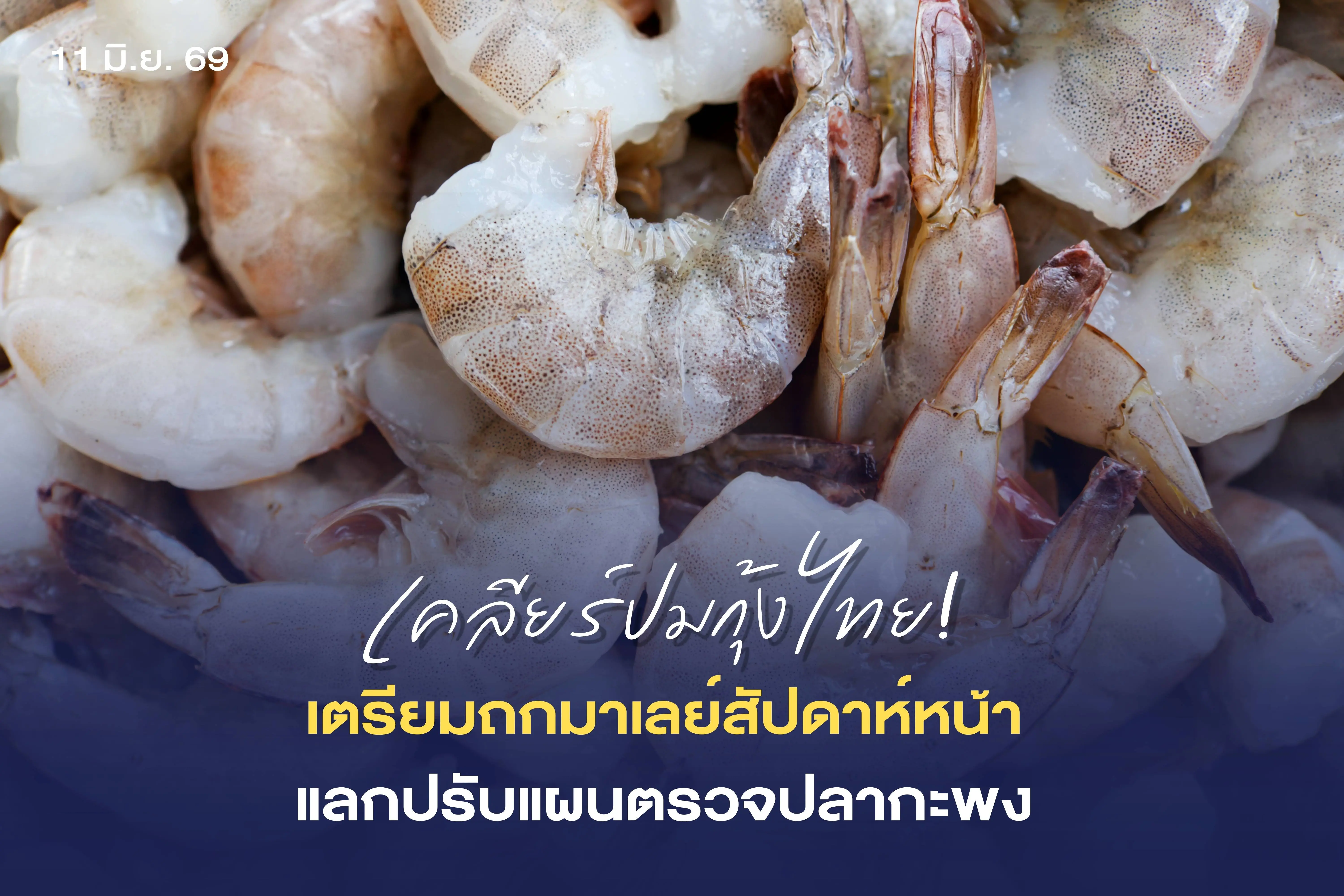 รัฐบาลเดินเกมรุกแก้ปมกุ้งไทย “เกษตรฯ” บินด่วนเจรจามาเลเซีย สัปดาห์หน้า แลกปรับแผนตรวจปลากะพง
