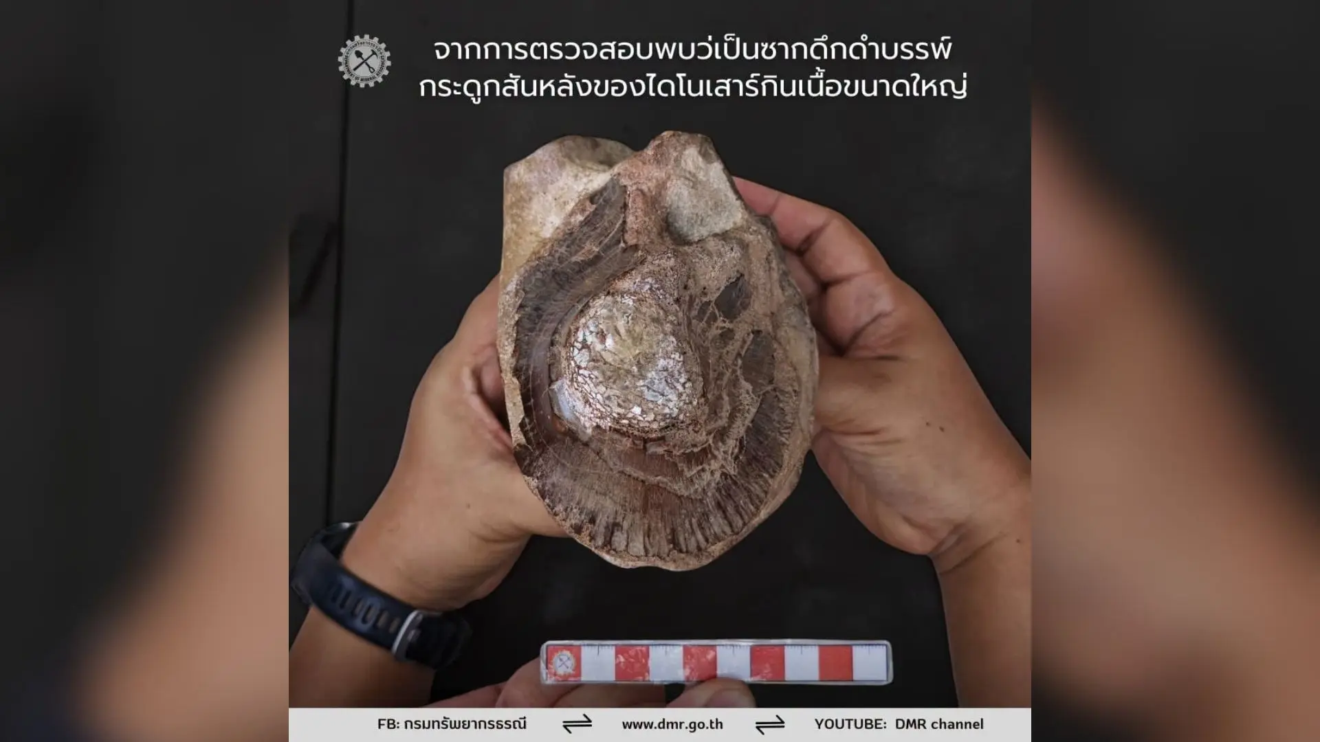 Thailand Inspects New Dinosaur Fossil Found in Sakon Nakhon