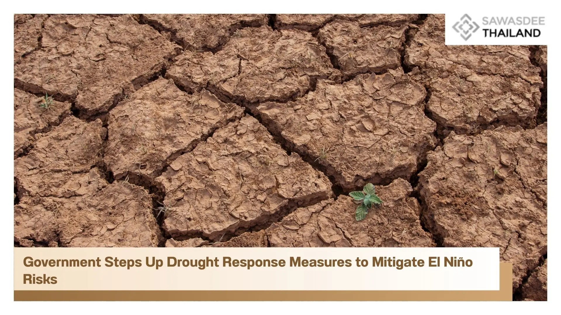 Government Steps Up Drought Response Measures to Mitigate El Niño Risks