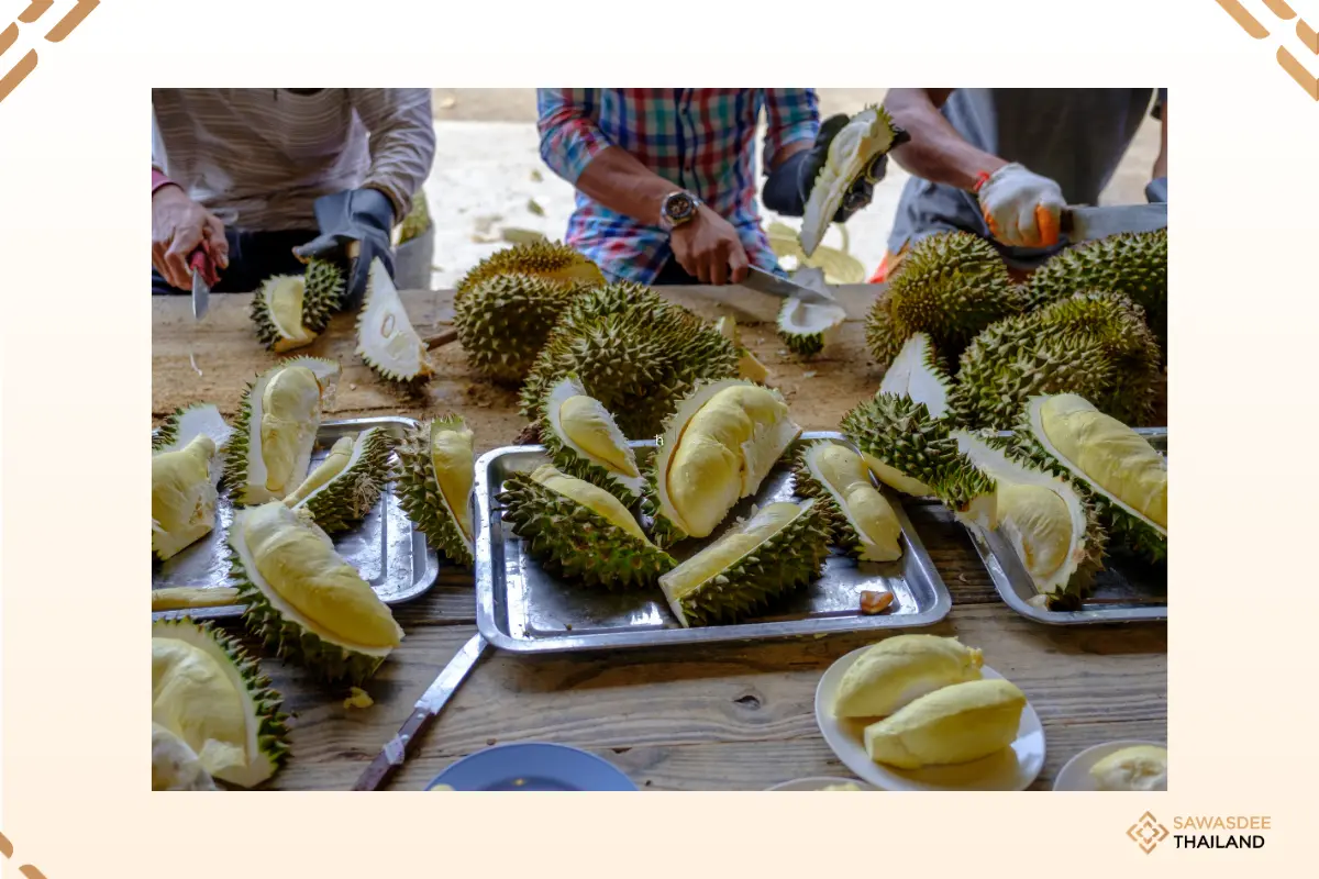 Thai Government Strengthens Durian Standards Under “4 No” Policy, Targets THB150 Billion in Exports