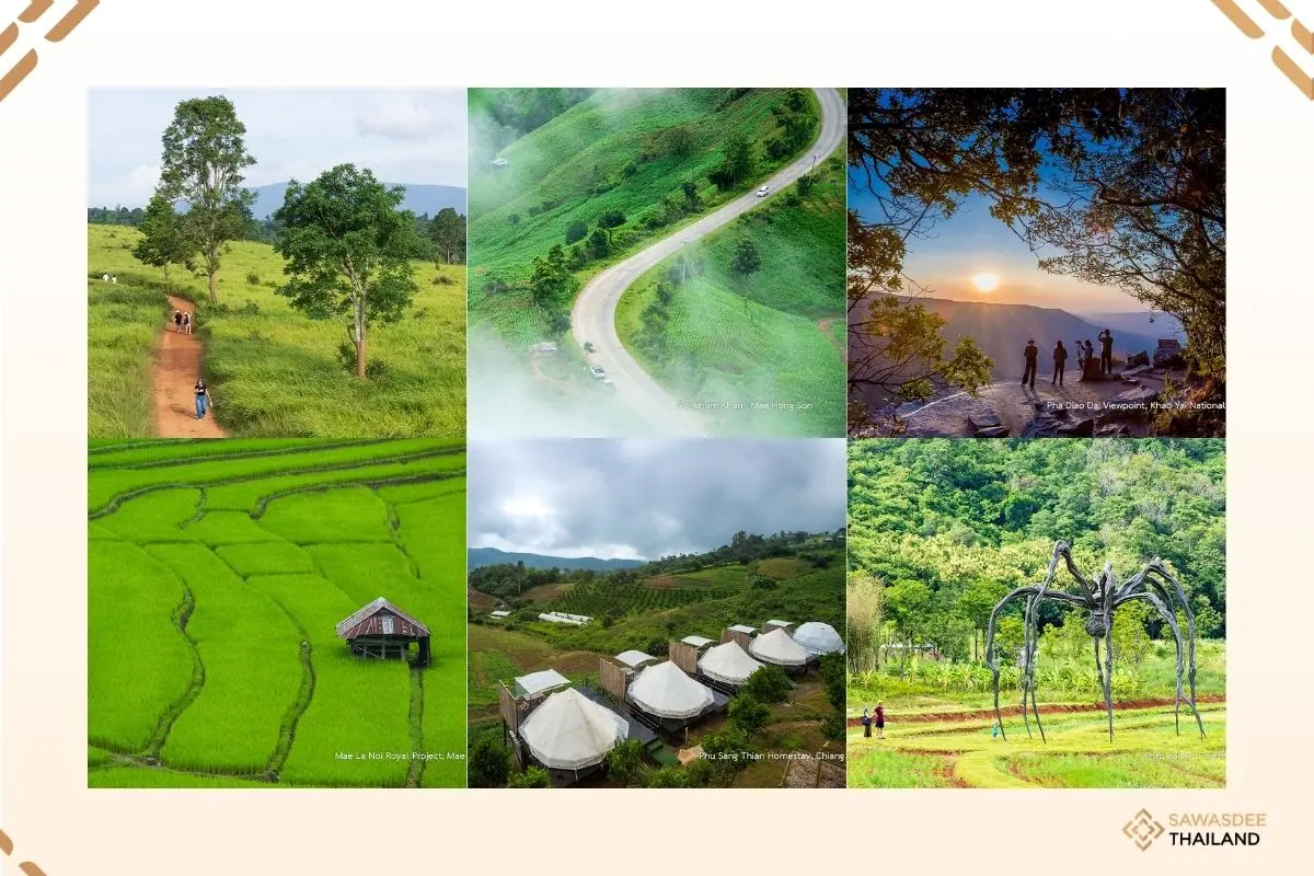Go Off the Beaten Path in Styl...